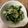 もりちゃん✳︎'s cooksnap of when they made ☆やさしい☆きゅうりとわかめの酢の物.