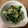 もりちゃん✳︎'s cooksnap of when they made ☆やさしい☆きゅうりとわかめの酢の物.