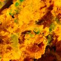 クックHJB3B6☆'s cooksnap of when they made かぼちゃとゴーヤのサラダ.