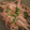 saw5U7♡'s cooksnap of when they made *安っ早っ旨っ!!!もやしの梅和え*.