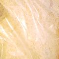 クックPWIFLC☆'s cooksnap of when they made 糖質制限☆全粒粉入りふすまパン.