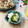 runa10's cooksnap of when they made 簡単♪かぶときゅうりの山椒風味大人浅漬け.