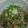 凪なぎ's cooksnap of when they made なすそば.