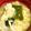 マコト★〜☆'s cooksnap of when they made リピしたくなる簡単絶品お味噌汁.