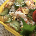 てついく's cooksnap of when they made 鮭と胡瓜の混ぜ寿司.