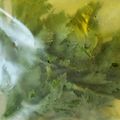 なつとみぃのママ's cooksnap of when they made セロリの葉っぱの保存方法.