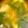 クックBLTENE☆'s cooksnap of when they made ニラとえのきの中華スープ.