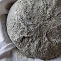 たねはち's cooksnap of when they made 自家製酵母　胡麻カンパーニュ.