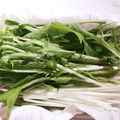 kaori238's cooksnap of when they made シャキッと！水菜の保存方法.
