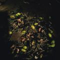 らりるれいこ015's cooksnap of when they made 栄養たっぷりひじきの煮物.