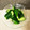 おじ☆さん's cooksnap of when they made 減塩・低たんぱく　【たたききゅうり】.