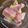 クック5R9DH9☆'s cooksnap of when they made 新発見！！熟れた桃は丸ごと冷凍保存.
