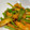 くみか1223's cooksnap of when they made 野菜てんぷらとピーマンの味噌炒め.