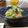 ダイナマイト漆黒's cooksnap of when they made ぶりのお刺身＊ごま酢和え.