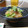 ダイナマイト漆黒's cooksnap of when they made ぶりのお刺身＊ごま酢和え.