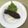horseland's cooksnap of when they made 揚げナスのかんたん酢漬け.