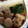 ピンクのたまご's cooksnap of when they made ちくわぶの胡麻和え.