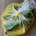 ヒロたんw's cooksnap of when they made 簡単　☆胡瓜の辛子漬け.