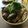 そのうち老々's cooksnap of when they made 超簡単！ナスの冷たい蕎麦.