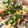maaaayuu's cooksnap of when they made もやしとしめじのふんわり卵炒め♪.