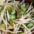 冬美☆'s cooksnap of when they made 簡単☆きゅうりともやしの中華和え.