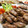 Superlittleboo's cooksnap of when they made いんげんと人参の肉巻き☆照り焼き.