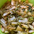 クック船長見習い's cooksnap of when they made 手作りキムチ（浅漬け）.