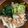 たかともしゃん's cooksnap of when they made 大阪名物かすうどん☆一度食べたらヤミツキ.