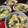 xxmiaxx's cooksnap of when they made とろ〜り♪白菜と豚のチーズ卵とじ.