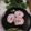 クックHG9V8Y☆'s cooksnap of when they made ＊桜の花の桜餅＊.