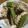 Halü★mama's cooksnap of when they made 茄子とオクラと豚の味ぽん炒め.