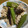Halü★mama's cooksnap of when they made 茄子とオクラと豚の味ぽん炒め.