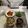 ニッシーマン's cooksnap of when they made シェフ直伝！誰でも簡単に炊けるきのこご飯.