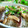おしす's cooksnap of when they made きのことかつおの手こね寿司.