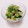 まあまま☆0403's cooksnap of when they made 胡瓜大根ツナしそわかめのさっぱり和え.