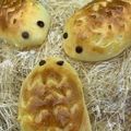 カラーオニオン's cooksnap of when they made はりねずみパン.