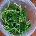 shelly616's cooksnap of when they made 豆苗のさっぱり和え◎.