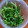 shelly616's cooksnap of when they made 豆苗のさっぱり和え◎.