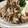 クックR5CMFN☆'s cooksnap of when they made 手抜き！ちくわの磯辺揚げ.