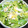 クックMUT2MI☆'s cooksnap of when they made オランダ豆（絹さや）とえのきの卵とじ.