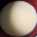 pedion's cooksnap of when they made コーンスープ＊.