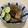 たけゆきさん's cooksnap of when they made じゃことれんこんのすだち風味.