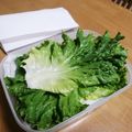 クックI7I5L1☆'s cooksnap of when they made サニーレタス☆保存方法.
