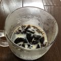 Mimiromi's cooksnap of when they made 5分de完成♡簡単♡コーヒーゼリーパフェ.