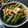 aileen♪'s cooksnap of when they made ツナといんげんのくったり煮.