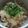 料理は嫌いじゃない♪'s cooksnap of when they made お手軽　深川めし風　あさりご飯.