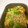 フレイムロック's cooksnap of when they made 【簡単作り置き】かぼちゃのそぼろ煮.