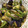 手抜きクック's cooksnap of when they made 野菜炒め＊お弁当用＊.