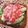 komugiko4's cooksnap of when they made 塩レモンソーセージ.