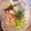 komugiko4's cooksnap of when they made さっぱりとろろ蕎麦.